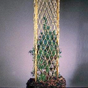 Plant a Forest with Ease: 18 Sets of 10 Tree Planting Tubes for Thriving Saplings.